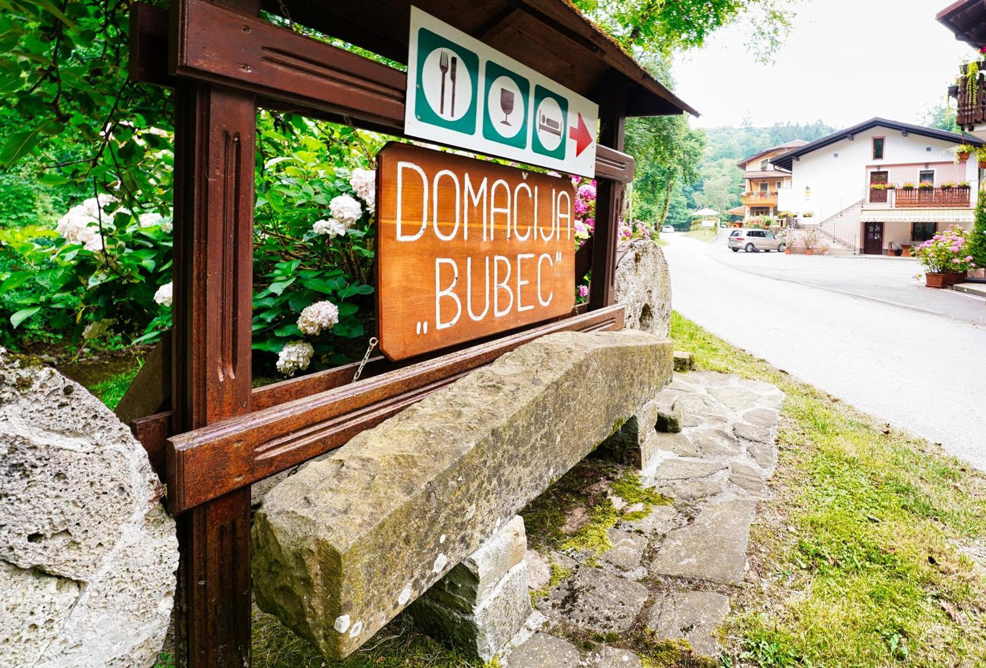 伊利尔斯卡比斯特里察Domacija Bubec别墅 外观 照片